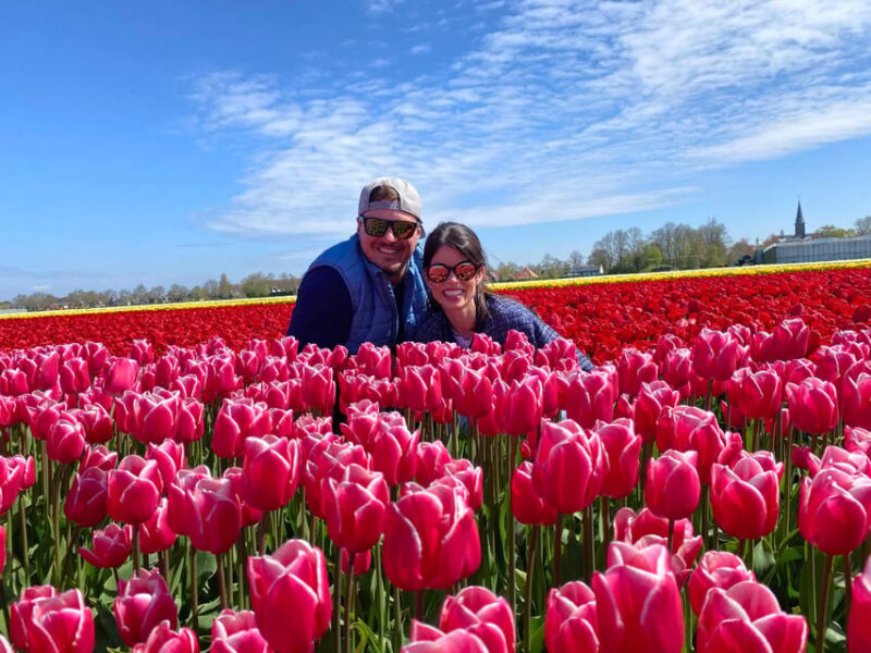 Amsterdam: Tulip Fields Day Tour with Lunch & Windmill - Key Points