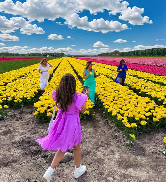 Amsterdam: Tulip Fields Day Tour with Lunch & Windmill - Transportation and Group Size