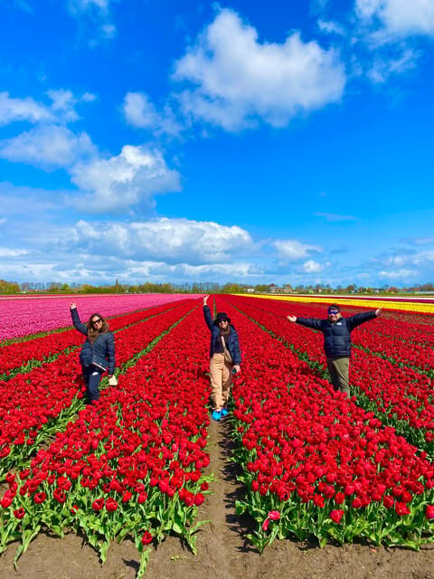Amsterdam: Tulip Fields Day Tour with Lunch & Windmill - Final Thoughts