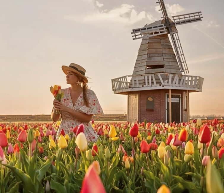 Amsterdam : Tulip Wonderland Tour - FAQs About the Tulip Wonderland Tour