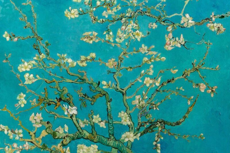 Amsterdam: Van Gogh Museum Ticket and City Canal Cruise - Who Will Love This Tour?