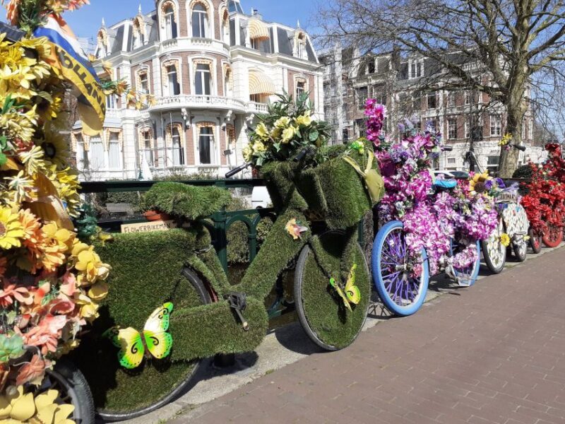 Amsterdam Walking Tour and Canal Cruise - The Sum Up