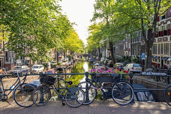 Amsterdam Walking Tour and Cruise with Drinks and Cheese Tasting - Final Thoughts: Is This Tour Worth It?