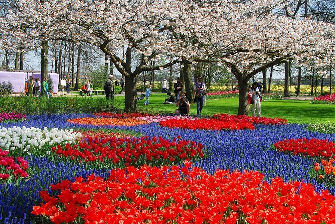 Amsterdam: Windmills, Marken, Volendam and Guided Keukenhof Visit - FAQ