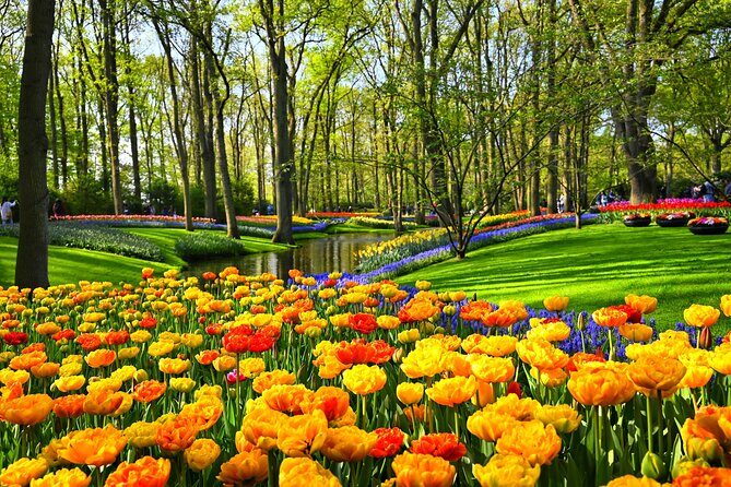Amsterdam: Windmills, Marken, Volendam and Guided Keukenhof Visit - Final Thoughts