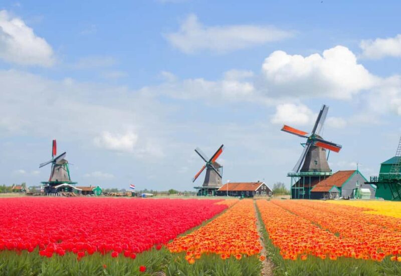 Amsterdam: Zaanse Schans, Windmills & Volendam Private Tour - Who Should Consider This Tour?