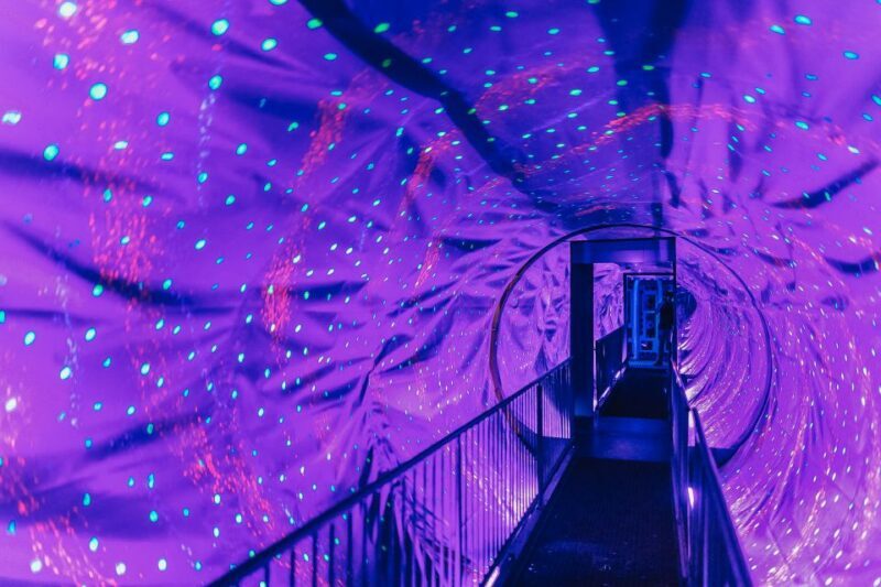 Amsterdam's Weirdest Museum: Ripley's Believe It or Not! - A Deep Dive Into the Experience