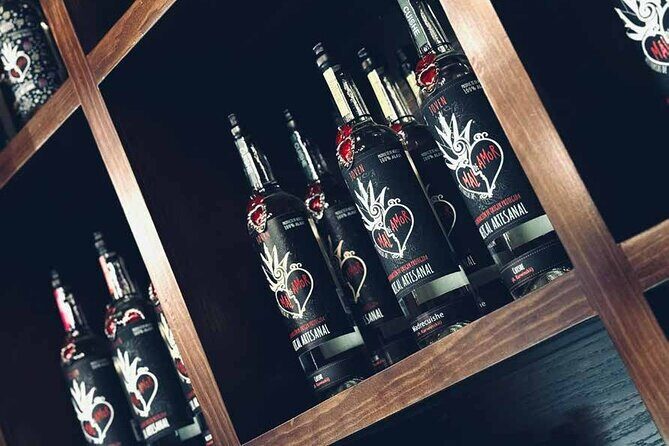 An adventure for the senses: Mezcal, fields and crafts. - Key Points