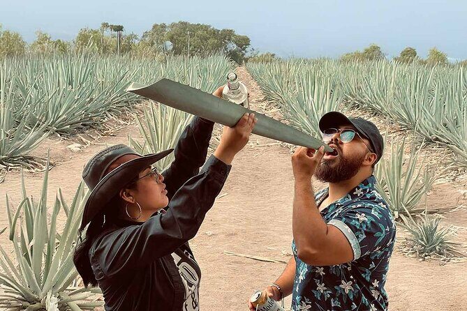 An adventure for the senses: Mezcal, fields and crafts. - Practical Details & Considerations