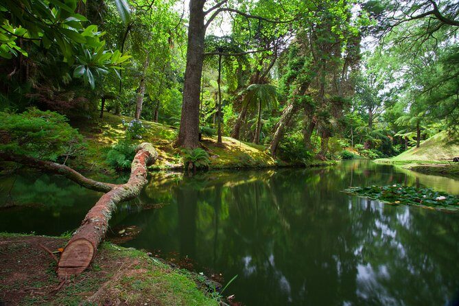 An Adventure Through the EAST of São Miguel island - Exploring São Miguel’s East Coast: A Closer Look