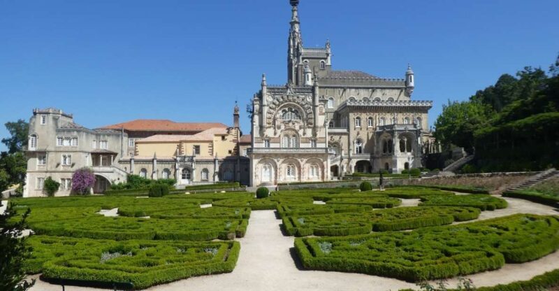 An adventure through the Forest and Palace of Bussaco - Coim - A Deep Dive into the Bussaco Experience