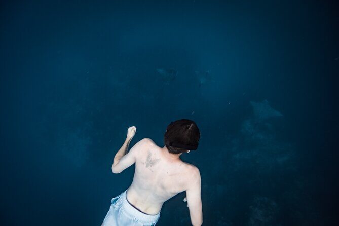 An Eagle Ray and Turtle Tour-Small Groups & Photography Included - The Experience at a Glance