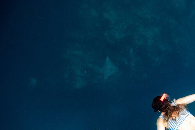 An Eagle Ray and Turtle Tour-Small Groups & Photography Included - Who Is This Tour Best For?