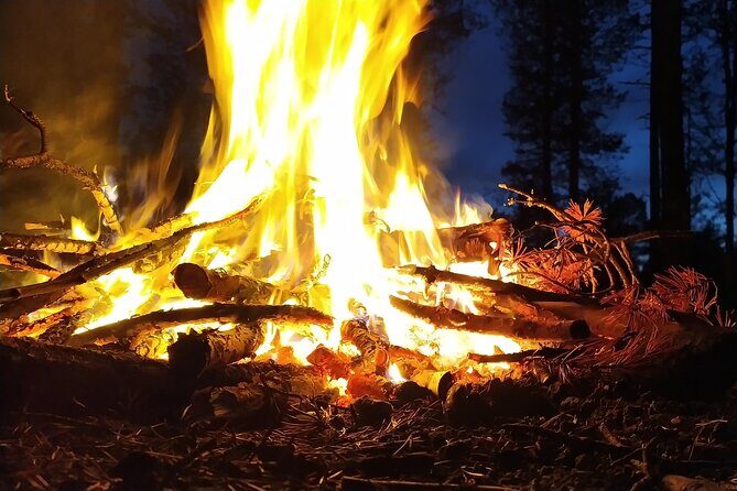 An Evening in the Backcountry, Northern Lights on a Sleighride - Practical Tips for Your Trip