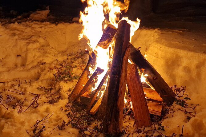 An Evening in the Backcountry, Northern Lights on a Sleighride - Frequently Asked Questions