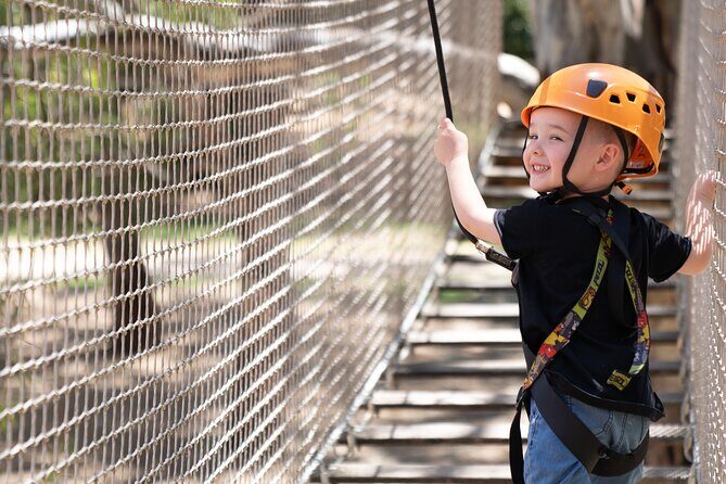 An exciting, Tree Top Adventure for Our Littlest Adventurers - An Exciting Tree Top Adventure for Our Littlest Adventurers