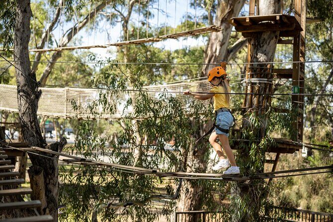 An exciting, Tree Top Adventure for Our Littlest Adventurers - Who Should Consider This Experience?