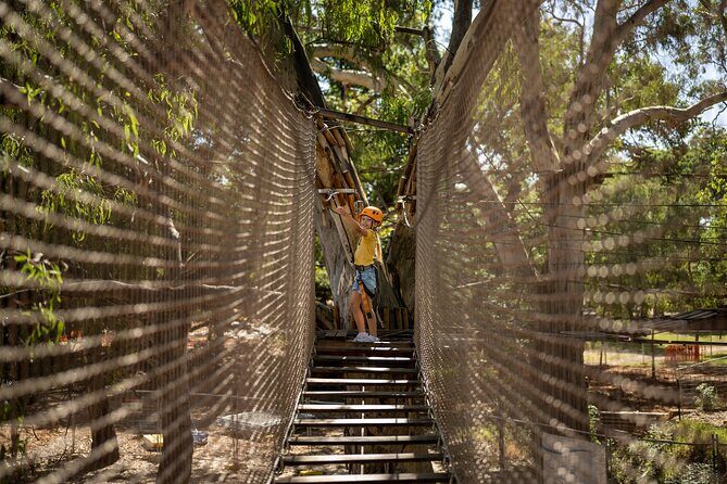 An exciting, Tree Top Adventure for Our Littlest Adventurers - Final Thoughts