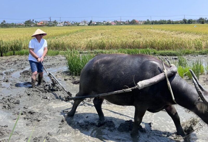 An incredible Hoi An - Water buffalo riding & cooking class - Enjoying Your Homemade Meal