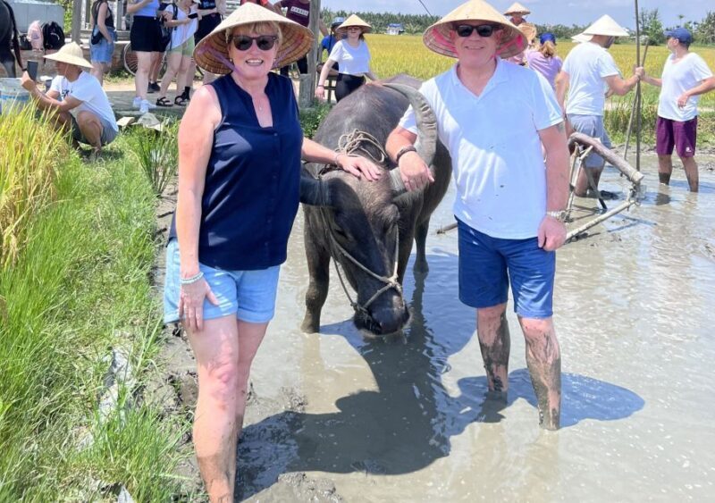 An incredible Hoi An - Water buffalo riding & cooking class - Practical Details and What to Expect