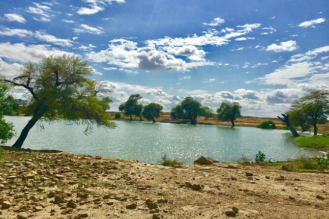 An Overnight Non-touristic Camel Safari (2PM to 11:30 AM Next Day) - Authenticity and Reviews