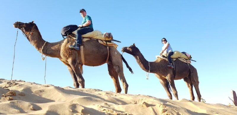 An Unforgettable Camel and Jeep Safari in Osian Villlage - FAQs