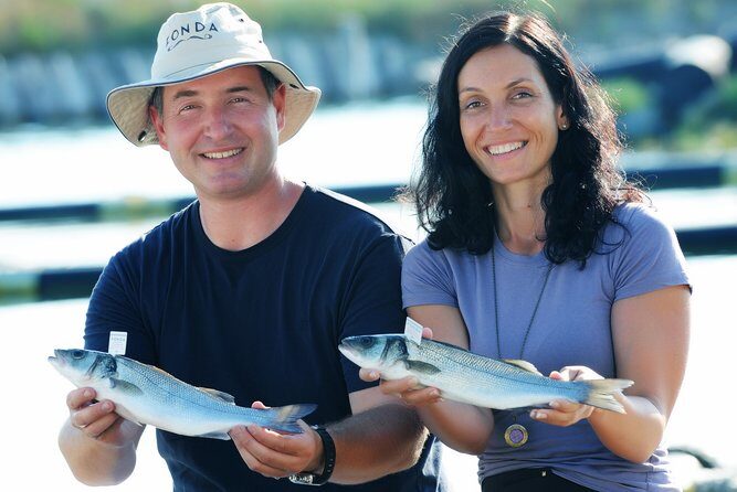 An Unforgettable Day With Fish, Wine and Olive Oil Tasting - A Deep Dive into the Experience