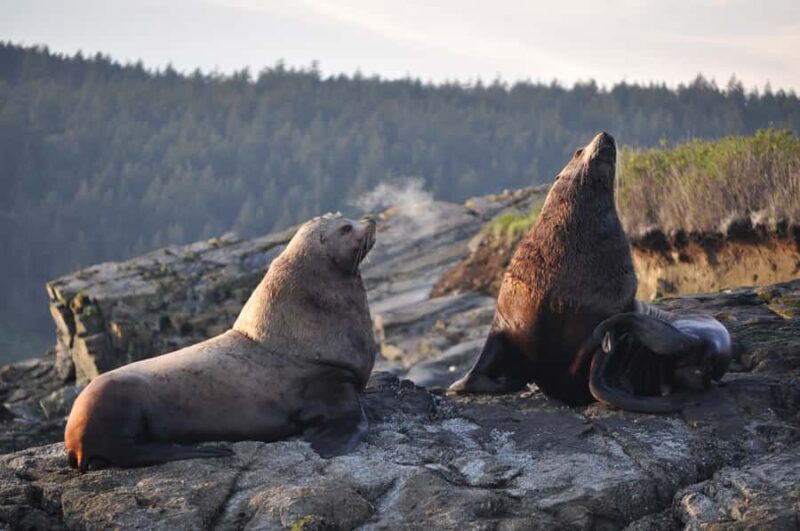 Anacortes: Whale and Orca Boat Tour near Seattle - FAQ