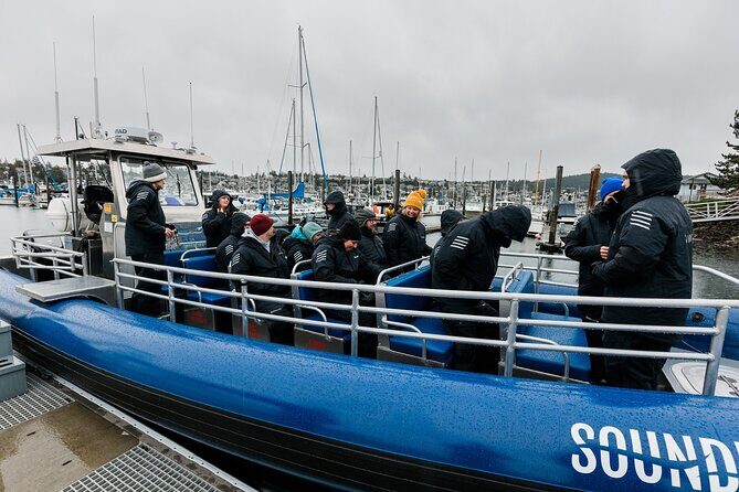 Anacortes Whale Watching Adventure Tour - Zodiac Boat - A Closer Look at the Experience