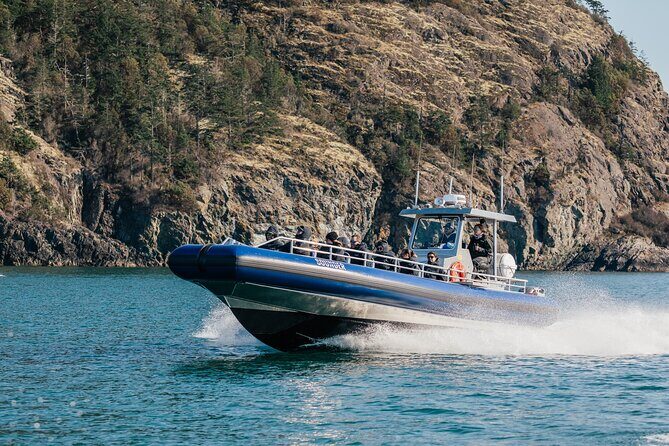 Anacortes Whale Watching Adventure Tour - Zodiac Boat - Final Thoughts
