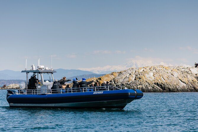 Anacortes Whale Watching Adventure Tour - Zodiac Boat - FAQ