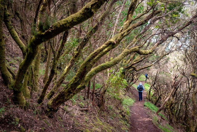 Anaga Mountains Tenerife - Chamorga Guided Hike - Exploring the Anaga Mountains of Tenerife: Chamorga Guided Hike