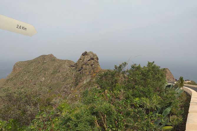 Anaga the enigmatic forest - Key Points