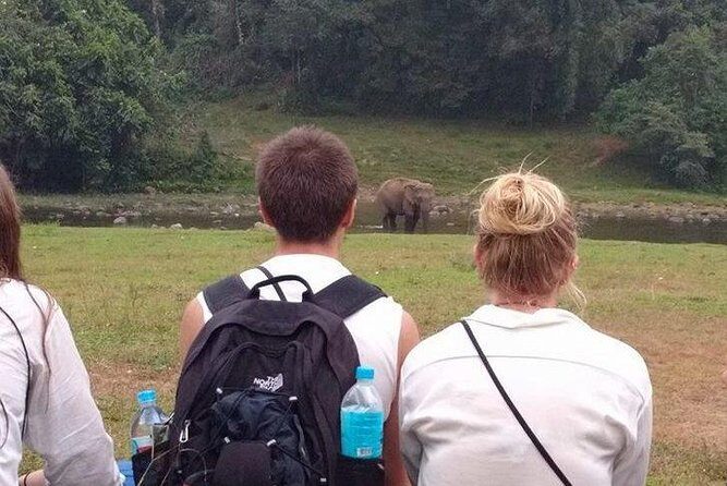 Anakulam Wild Elephant Village life tour ( By Munnar Info) - In-Depth Review: What to Expect on the Anakulam Wild Elephant Village Tour
