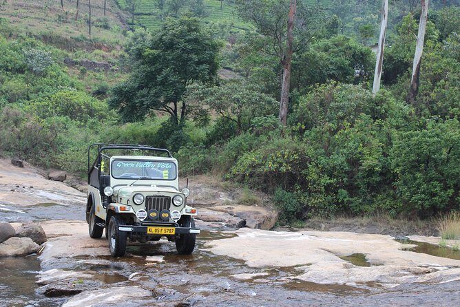 Anakulam Wild Elephant Village life tour ( By Munnar Info) - The Sum Up