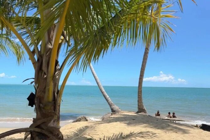 Añasco-Bunny Fever Adventure Experience - FAQ