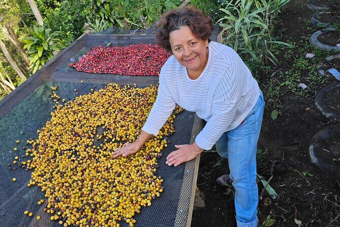 Ancestral Coffee Experience in Boquete - Who Will Love This Tour?