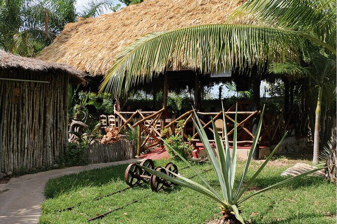 Ancestral Mayan Private Culinary Experience in Merida - Who Should Consider This Tour?