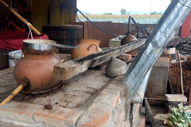 Ancestral Mezcal Tour Experience A pre Hispanic Heritage - Setting the Scene: A Journey into Mexico’s Traditional Spirit