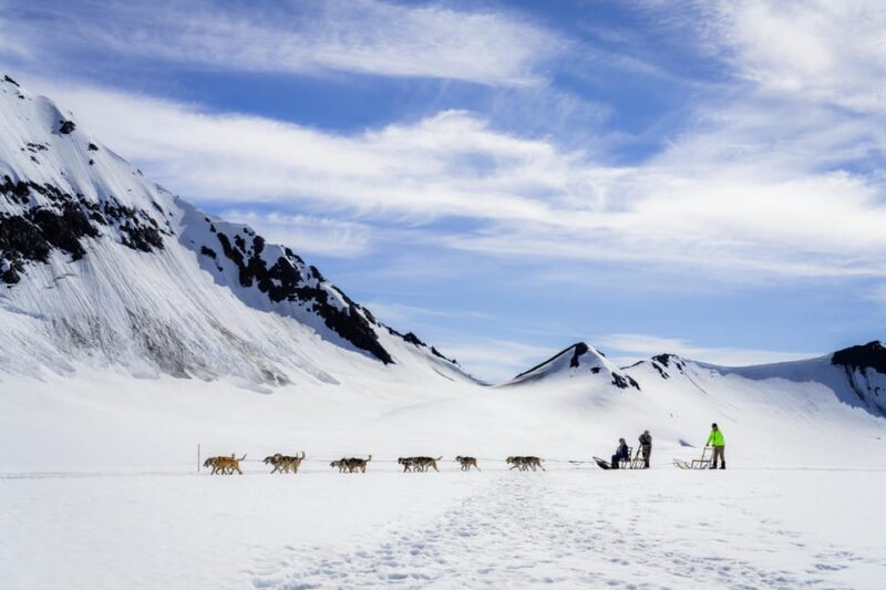 Anchorage Area: Helicopter and Glacier Dogsled Tour - Exploring the Anchorage Area: Helicopter and Glacier Dogsled Tour