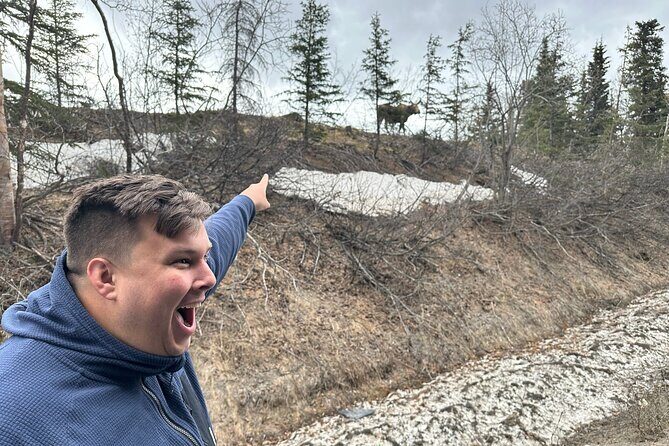 Anchorage City Tour and Highlights - An In-Depth Look at Anchorage City Tour and Highlights