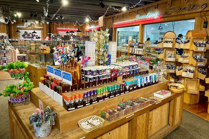 Anchorage City Tour, w/Choc Factory Samplings - A Detailed Look at the Anchorage City Tour