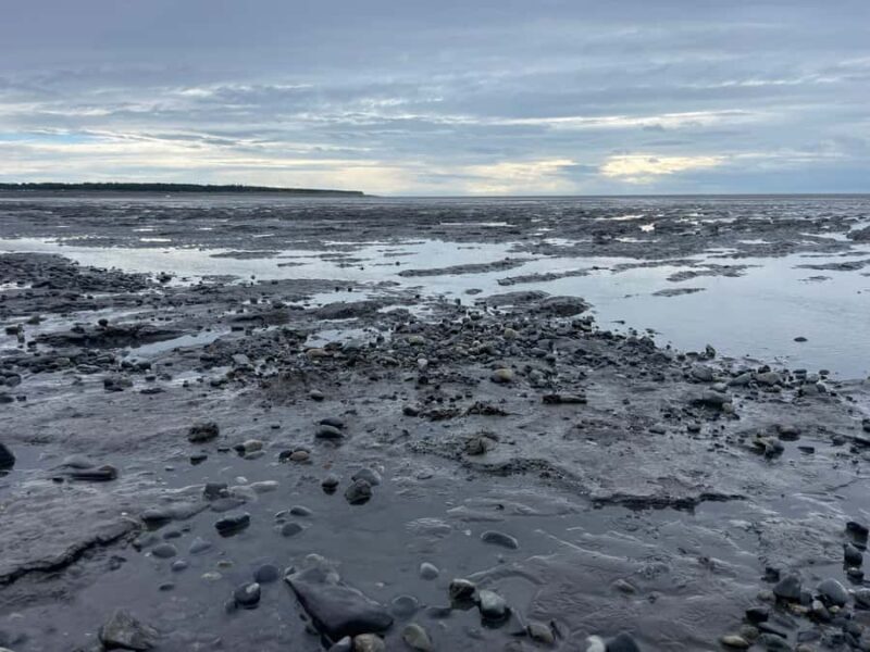 Anchorage discovery tour - What Makes This Tour Stand Out?