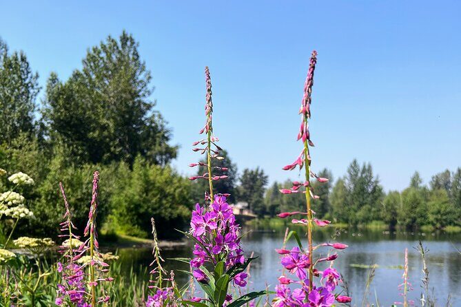 Anchorage Greenbelt Bike Tour - Key Points
