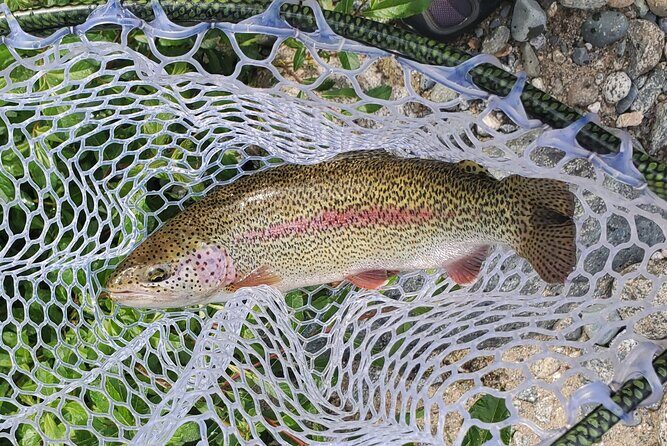 Anchorage Guided Fly-fishing - Who Will Love This Tour?