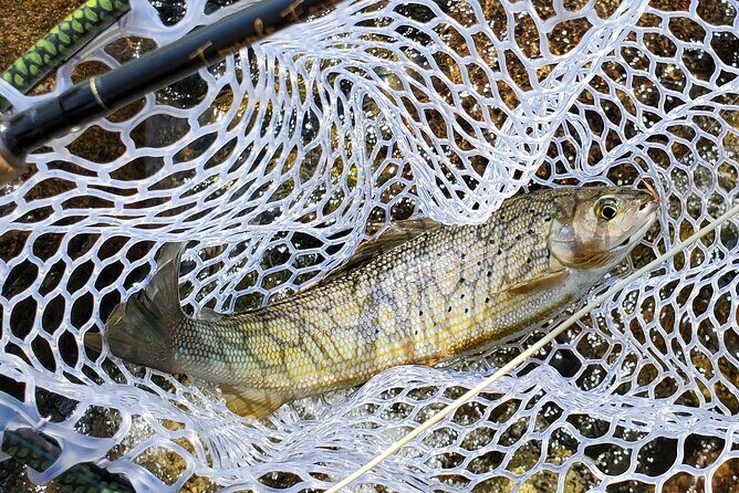 Anchorage Guided Fly-fishing - The Sum Up