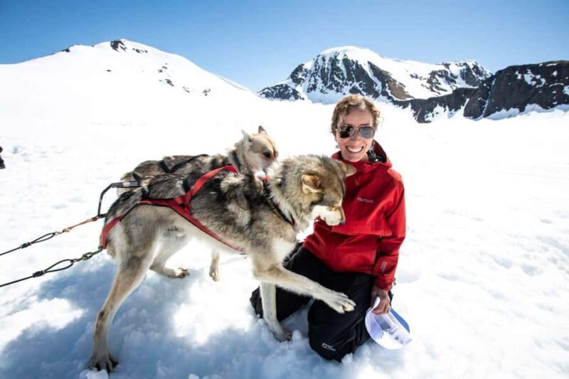 Anchorage: Helicopter Glacier Dogsledding Tour - An In-Depth Look at the Anchorage Helicopter Glacier Dogsledding Tour
