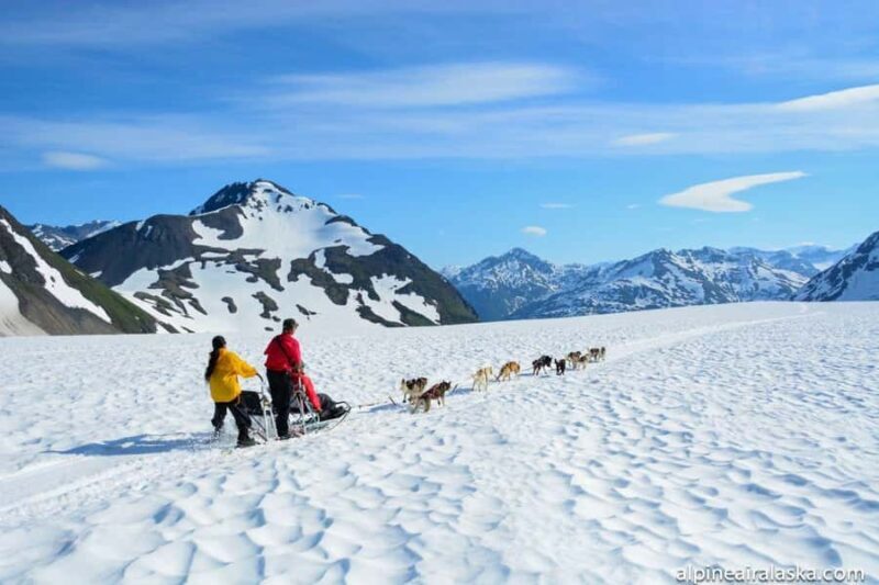 Anchorage: Helicopter Glacier Dogsledding Tour - Final Thoughts