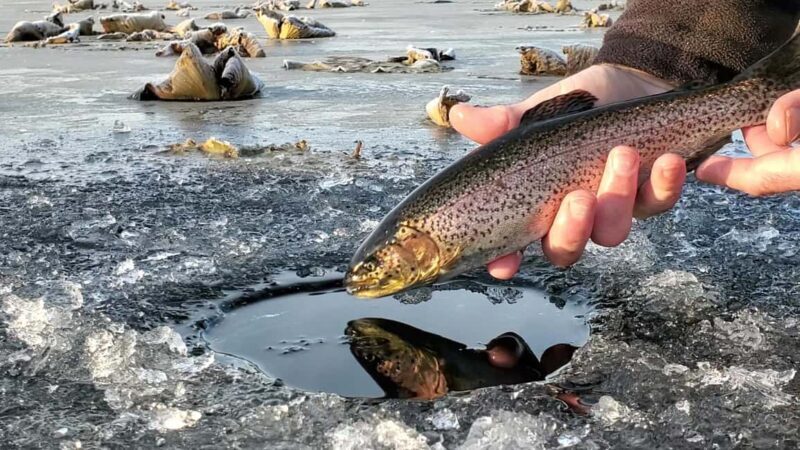 Anchorage: Ice Fishing Trip With Transportation - Authentic, Family-Friendly, and Fun