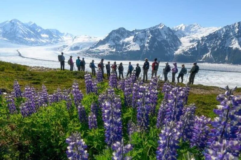 Anchorage: Knik Glacier Helicopter and Hiking Adventure Tour - A Thrilling Flight and Authentic Wilderness